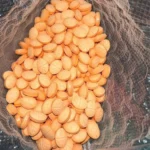 Adderall B974 focus tablets